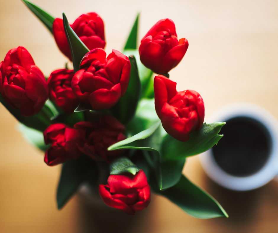 Schippersblog “Tulips from Holland”